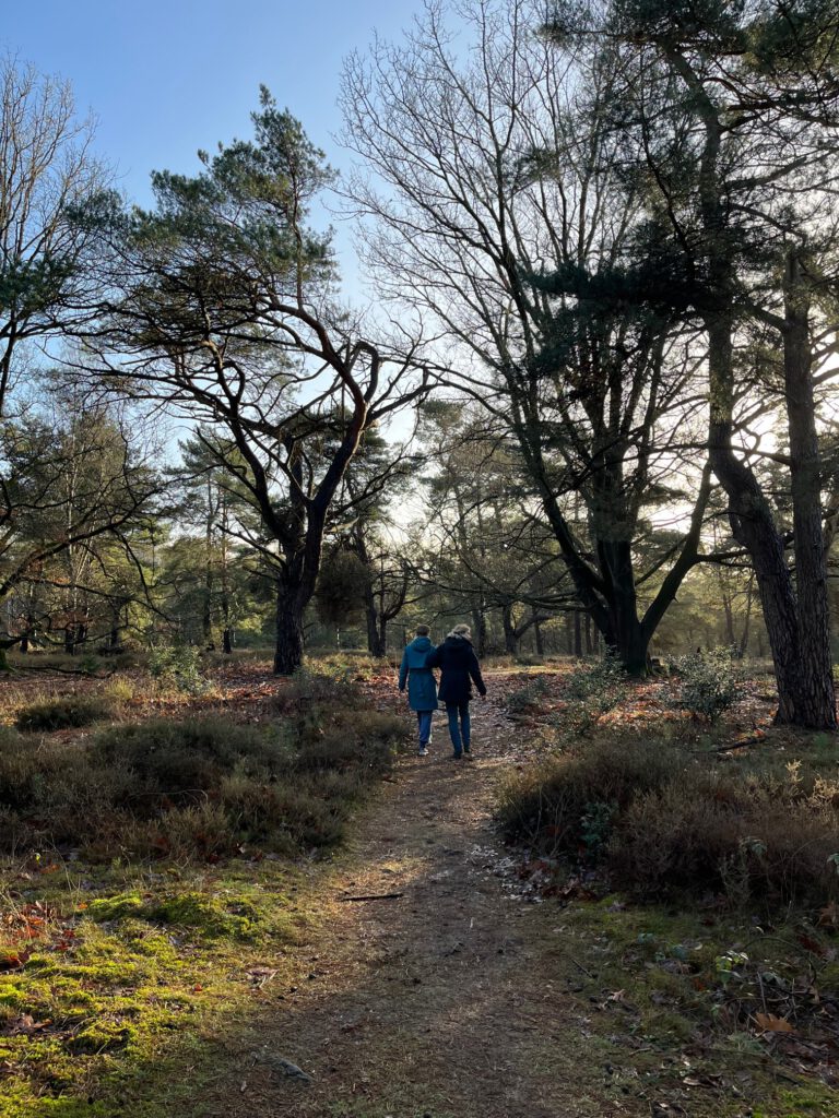 Bosbaden in het bos bij Hilversum