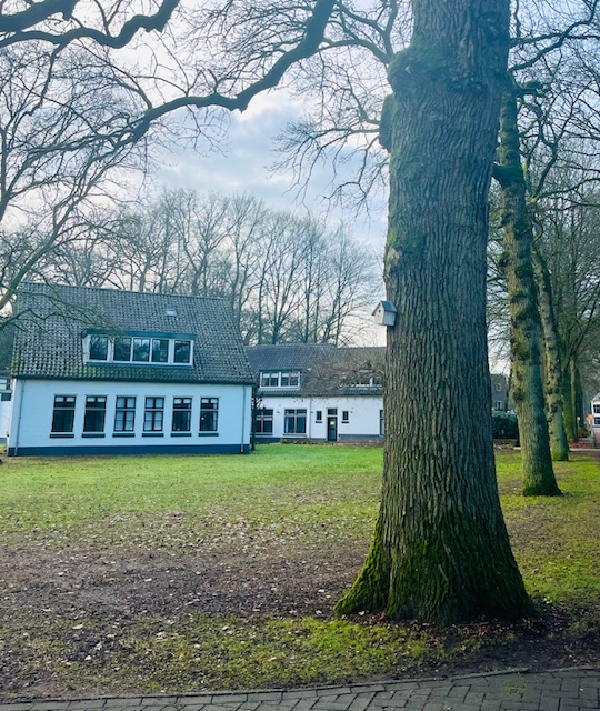 Coachpraktijk coaching na kanker